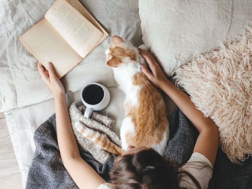 Woman getting cozy and comfortable with blankets, her cat, tea, and a book